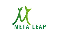 Meta Leap