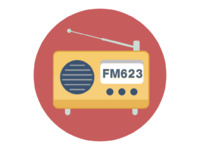 FM623