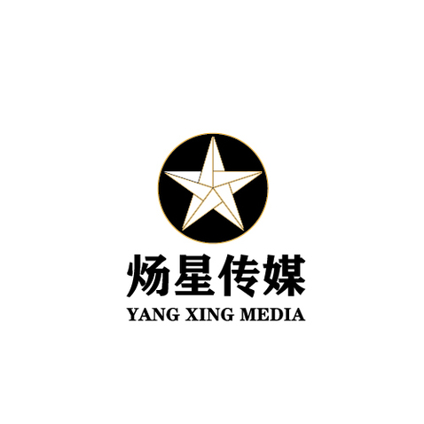 炀星传媒logo设计