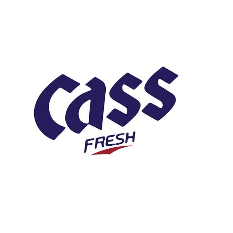 CASS电子版logo设计