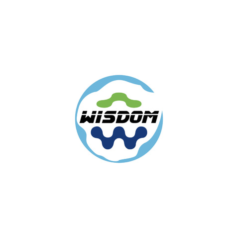 wisdomlogo设计