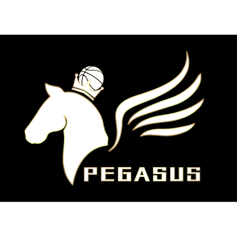 PEGASUSlogo设计