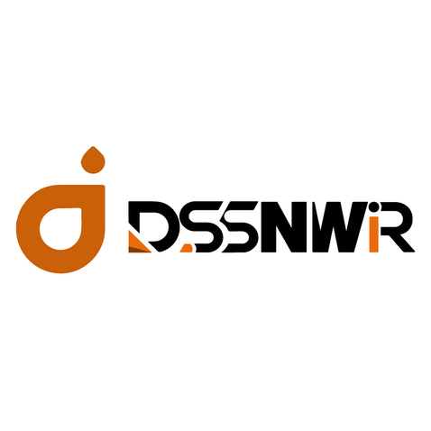 DSSNWIRlogo设计