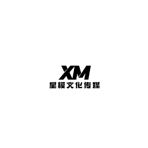 星模文化传媒logo设计