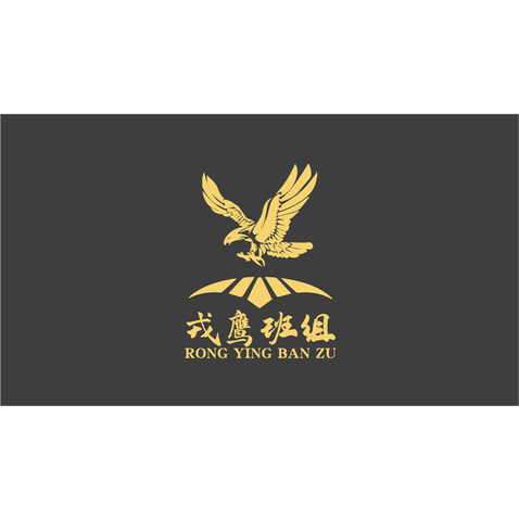 戎鹰班组logo设计