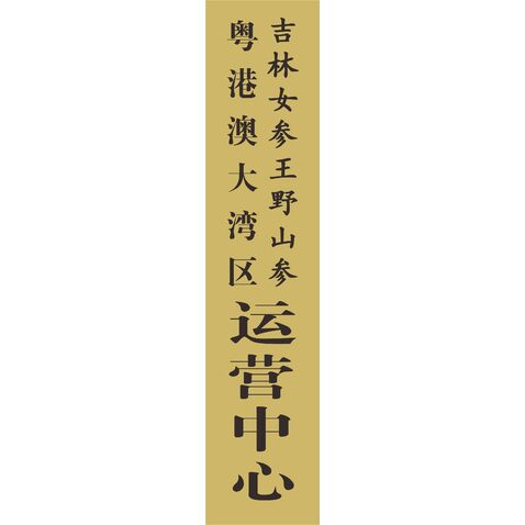 吉林长白山野山参logo设计