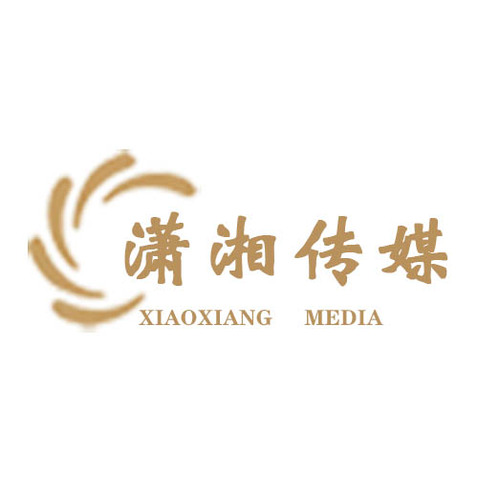 潇湘传媒logo设计