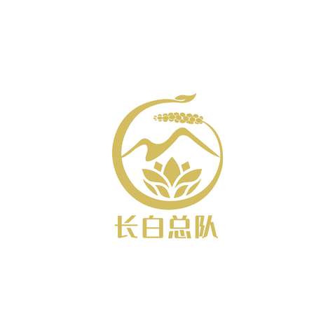 长白总队logo设计