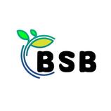 BSB