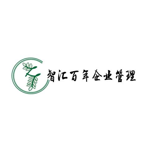 智汇百年企业管理logo设计