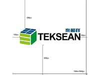 TekSean（新能源行业）