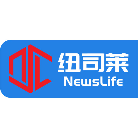 纽司莱logo设计