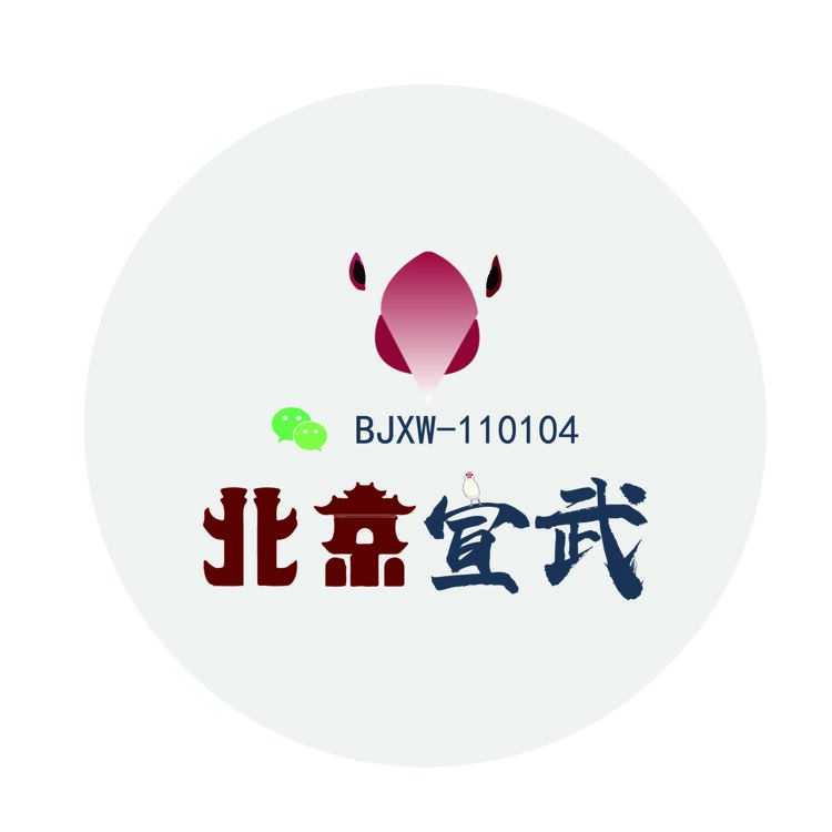 北京宣武_画板 1logo