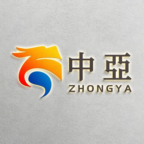 中亚logo设计