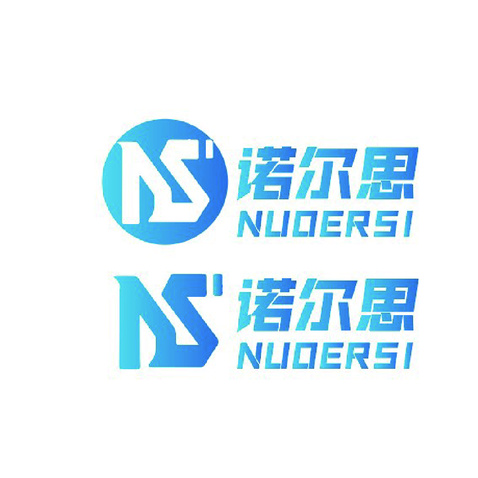 诺尔思logo设计