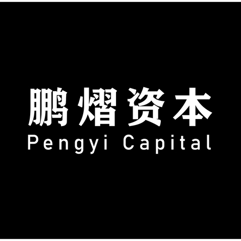 鹏熠资本logo设计