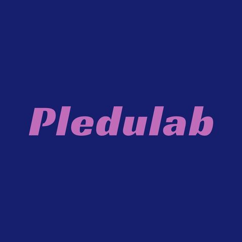 Pledulablogo设计