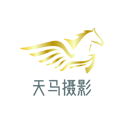 天马摄影logo设计