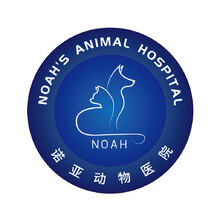 諾亞動物醫院