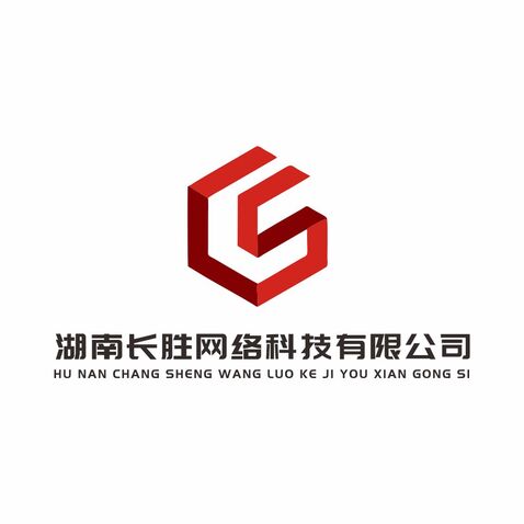 湖南长胜网络科技有限公司logo设计