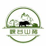 峽谷山豬