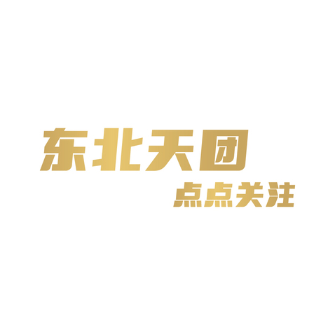 东北天团logo设计