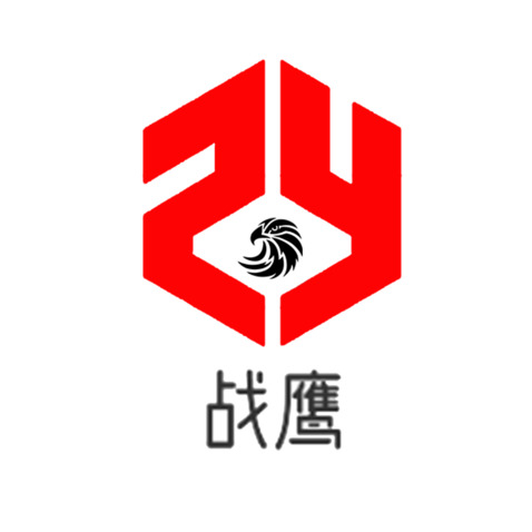 战鹰logo设计