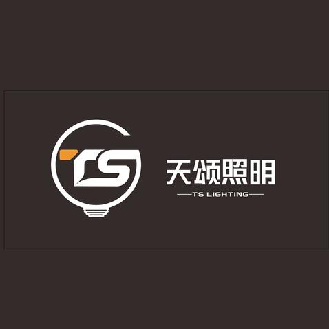 灯饰行业 天颂照明 TS lightinglogo设计