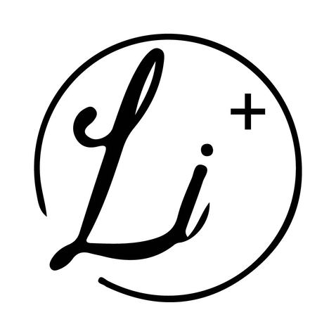 Li+  女装店logo设计