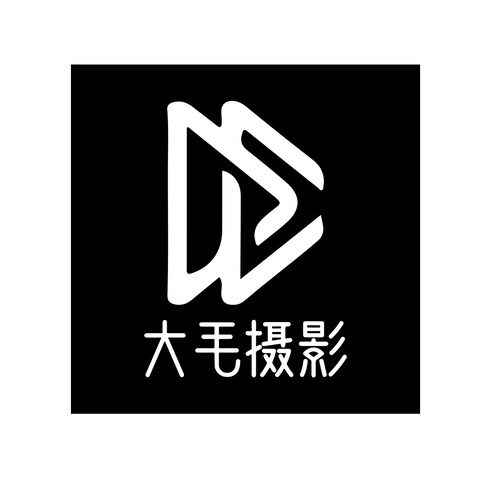 大毛摄影logo设计