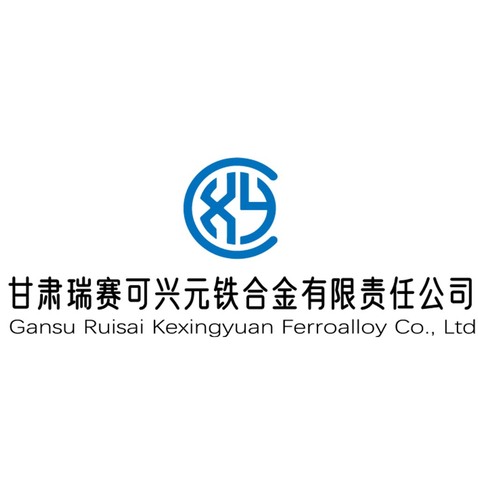 甘肃瑞赛可兴logo设计