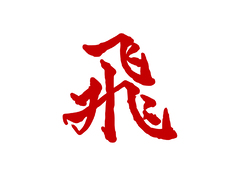 飞字