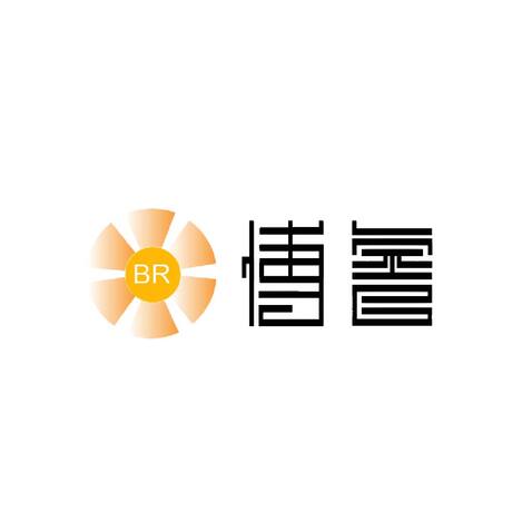 博睿logo设计