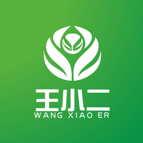 王小二logo设计