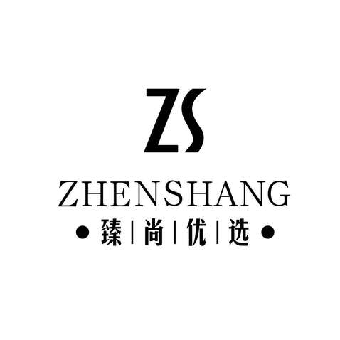 臻尚优选72-1024+1024logo设计