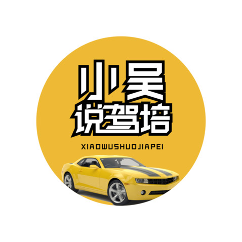 小吴说驾培logo设计