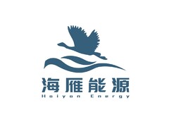 海雁能源logo